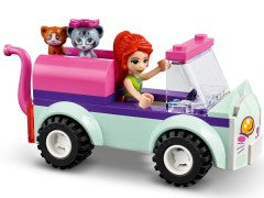 Cat Grooming Car