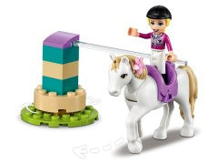 Horse Training and Trailer