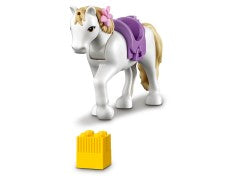 Horse Training and Trailer