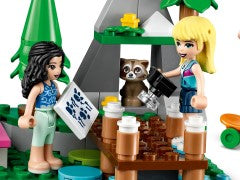 Forest Camper Van and Sailboat