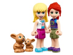 Vet Clinic Rescue Helicopter