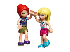 Vet Clinic Rescue Helicopter