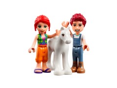 Pony-Washing Stable