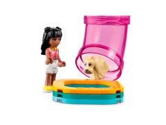 Pet Day-Care Center
