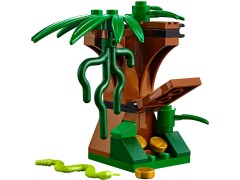Jungle Starter Set