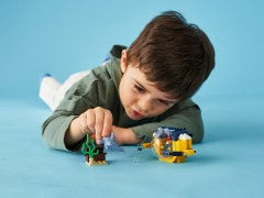 Ocean Mini-Submarine