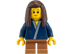 NINJAGO City