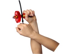 Kai - Spinjitzu Master