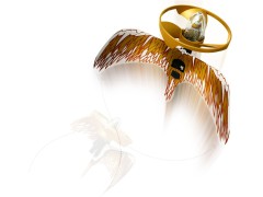 Golden Dragon Master