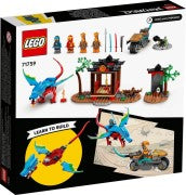 Ninja Dragon Temple