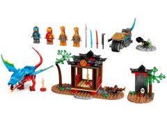 Ninja Dragon Temple