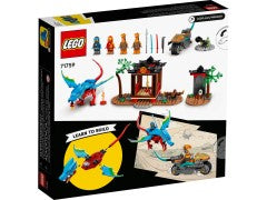Ninja Dragon Temple