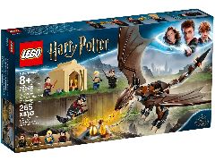 Hungarian Horntail Triwizard Challenge