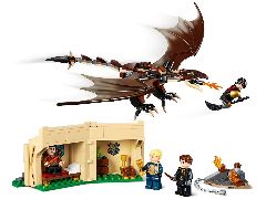 Hungarian Horntail Triwizard Challenge