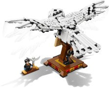 Hedwig