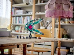 The New Guardians' Ship