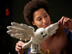Hogwarts Icons - Collectors' Edition