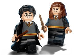 Harry Potter & Hermione Granger
