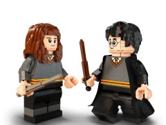 Harry Potter & Hermione Granger