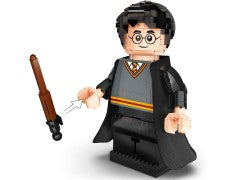Harry Potter & Hermione Granger
