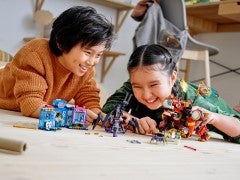 Monkie Kidâ€™s Lion Guardian