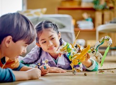 Mei's Guardian Dragon